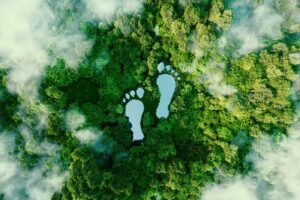 Carbon emissions business consulting